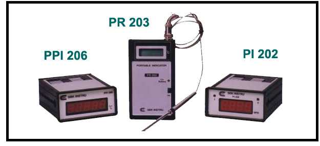 Process Indicator Model Pc 200 Series supplier